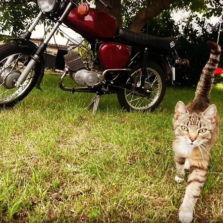 Simsongarage Moenchswalde