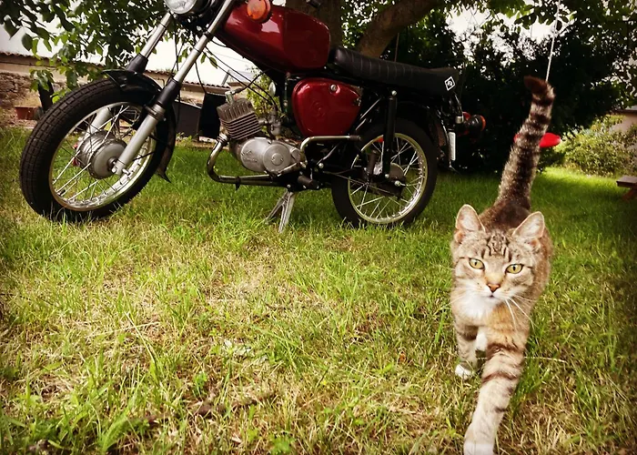 Simsongarage Moenchswalde